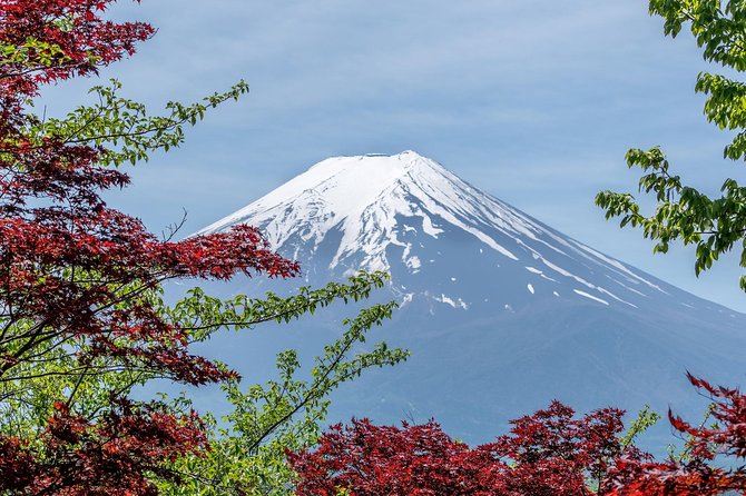 Tokyo to Hakone | Private and Personalized Day Trip with a Local - Ending with an onsen in Hakone