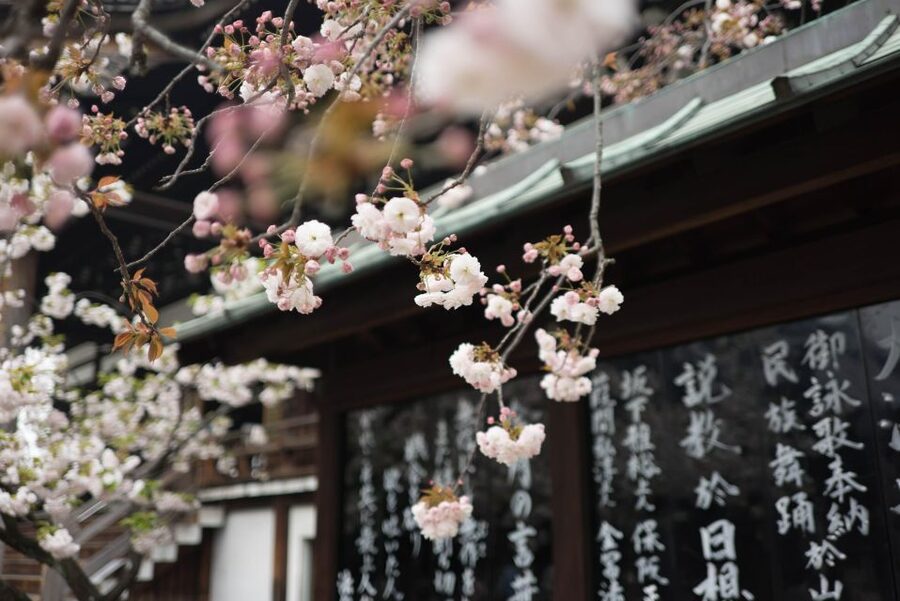 Tokyo to Kawagoe: Private Historical Day Trip - Penny Candy Lane and Kawagoe’s sweet potato culture