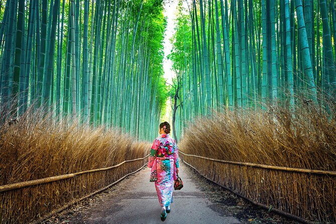 Tokyo to Kyoto 1-Full Day Private Guided Tour