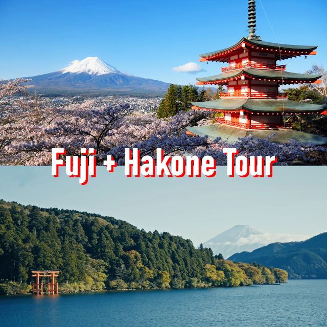 Tokyo to Mount Fuji and Hakone: Private Full-Day Tour - Lunch in Hakone around noon