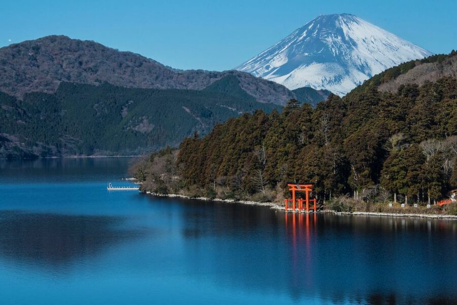 Tokyo to Mount Fuji and Hakone: Private Full-Day Tour - What the $707 group price really buys