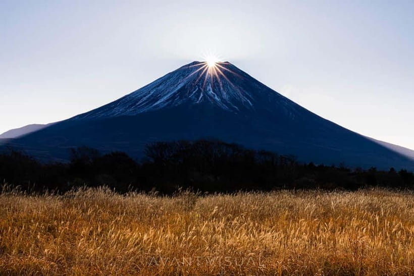 Tokyo To Mount FUJI Day Trip With English guide - What makes this Mount Fuji day trip useful