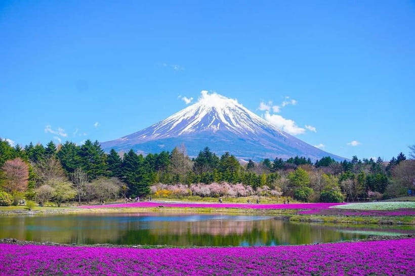 Tokyo To Mount FUJI Day Trip With English guide - Kitaguchi Hongu Fuji Sengen Shrine