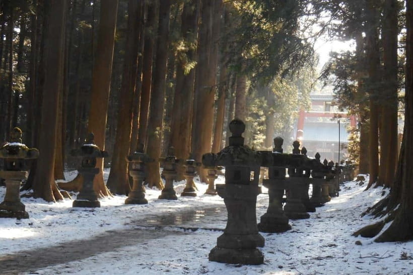 Tokyo To Mount FUJI Day Trip With English guide - Lake Kawaguchi, lunch, and the cable car