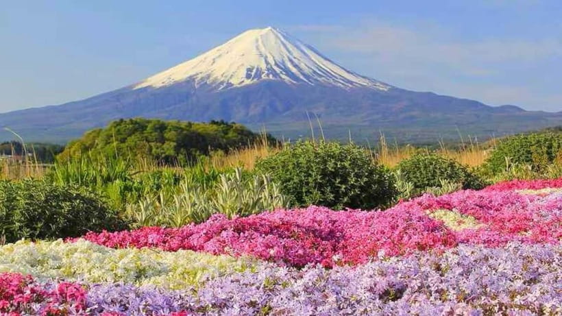 Tokyo To Mount FUJI Day Trip With English guide - Hakone adds one more boat ride