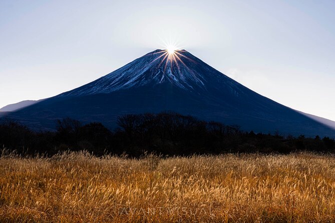 Tokyo To Mount Fuji Private English Guided Day Tour - Why this private Fuji day trip makes sense from Tokyo
