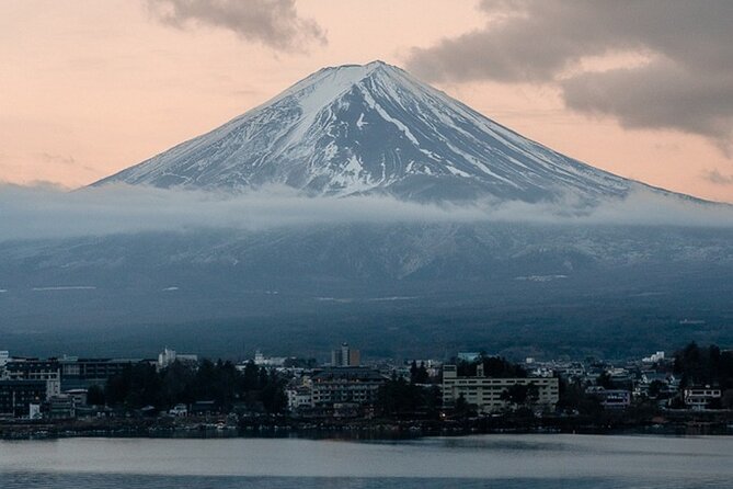 Tokyo To Mount Fuji Private English Guided Day Tour - Oishi Park for flowers, lake, and mountain views