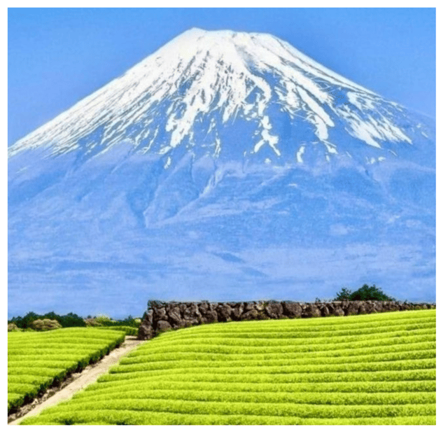 “Tokyo to Mt. Fuji & Hakone: Private Customizable Day Trip” - Arakurayama Sengen Park and Chureito Pagoda