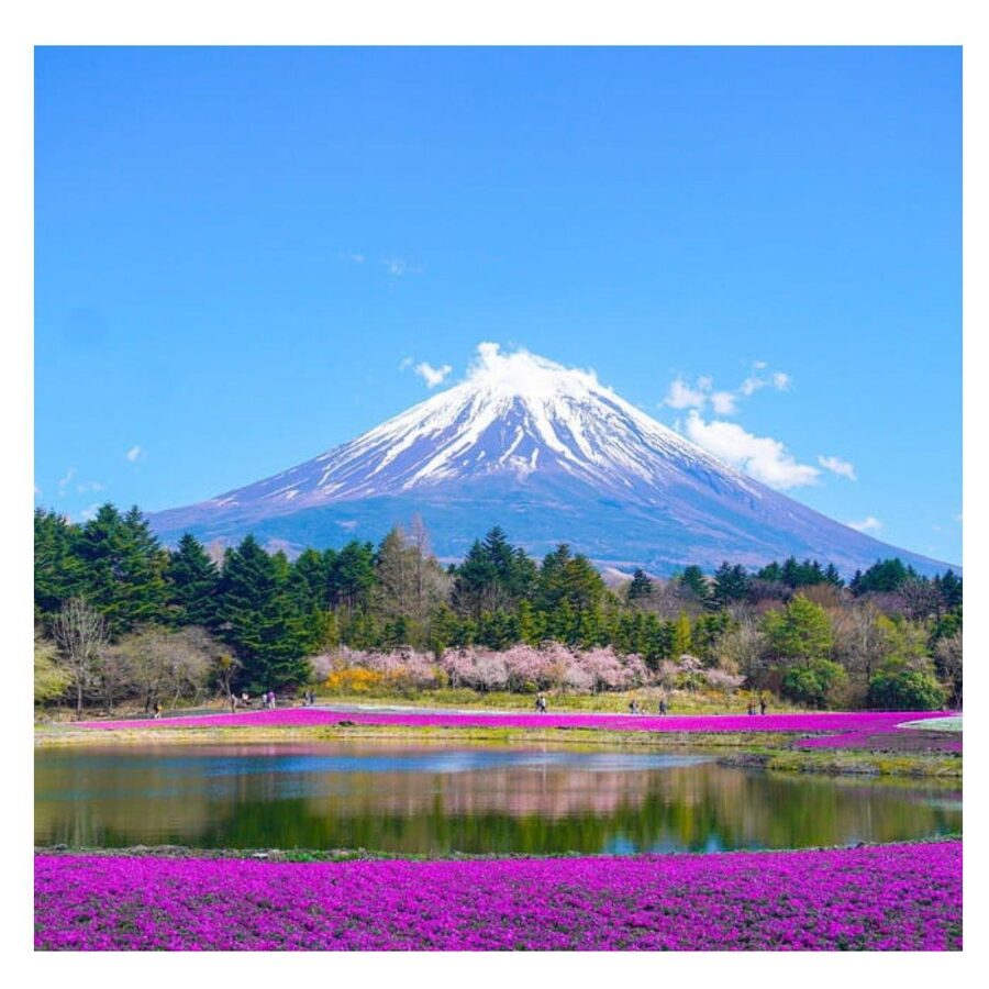 “Tokyo to Mt. Fuji & Hakone: Private Customizable Day Trip” - Lake Kawaguchiko and the Fuji Five Lakes mood