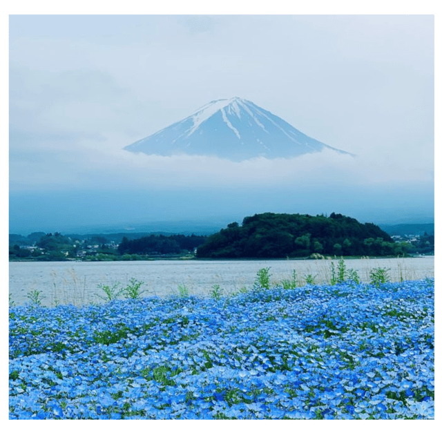 “Tokyo to Mt. Fuji & Hakone: Private Customizable Day Trip” - Hakone, Lake Ashi, and the ropeway choice