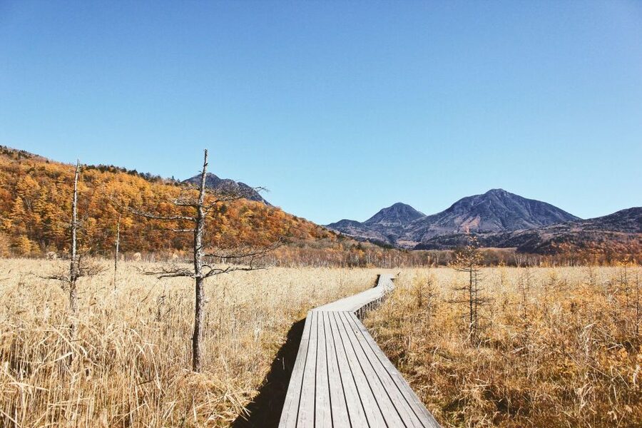 Tokyo to Nikko: Exclusive Private Day Trip - Is $405 per person good value?
