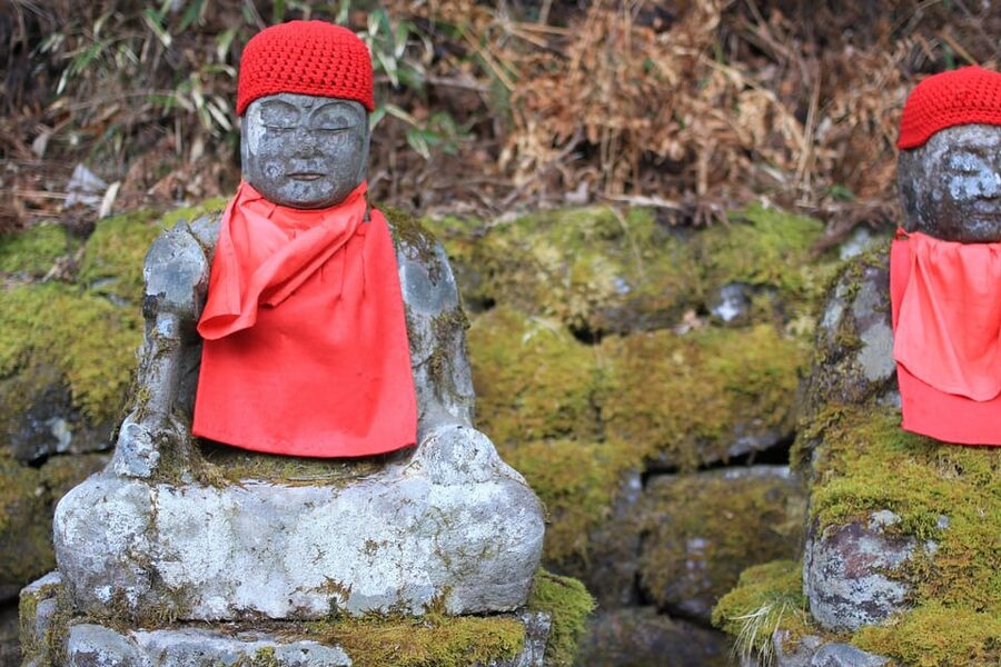 Tokyo to Nikko: Exclusive Private Day Trip - Yuba, sake, and a practical lunch stop