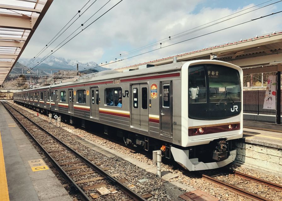 Tokyo to Nikko: Exclusive Private Day Trip - What private personalization really gives you