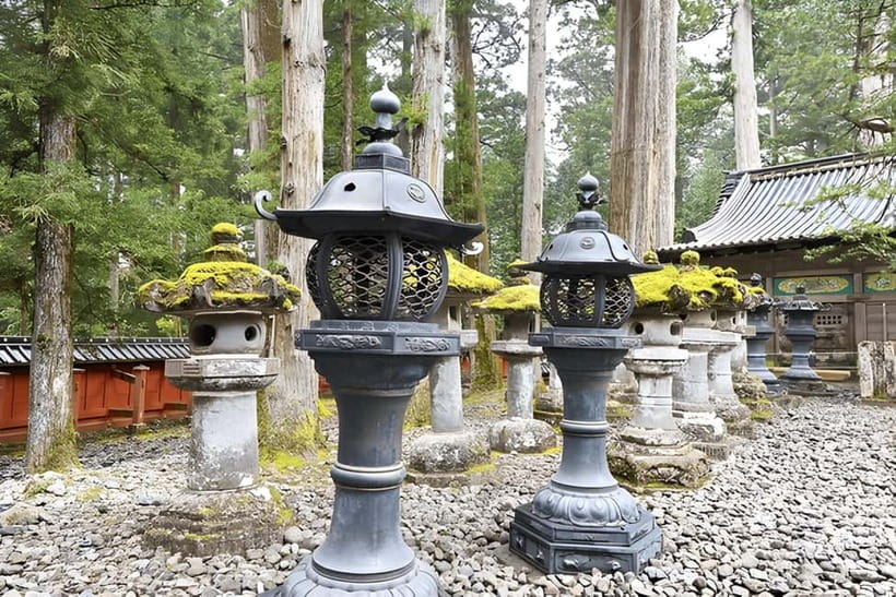 Tokyo to Nikko Private Customizable Full Day Tour W/D Driver - Lunch, yuba, and the value of local food advice