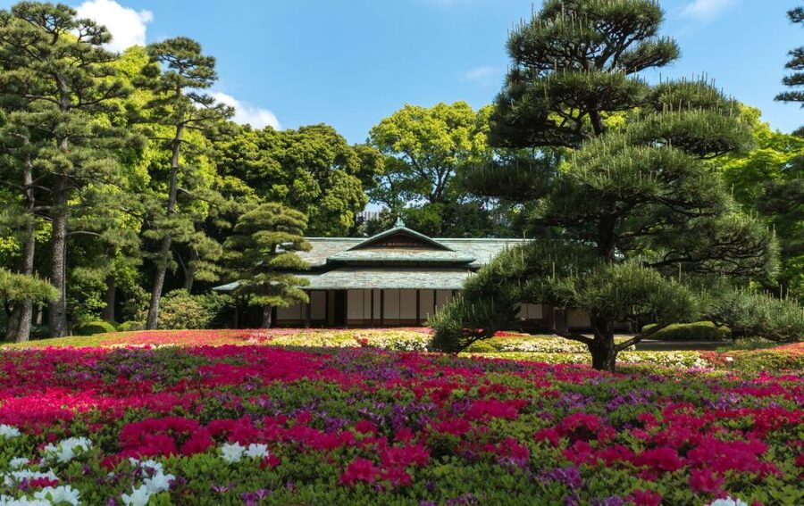 Tokyo: Tokyo Private Day Tour With Guide - Meiji Jingu: forest paths beside the city