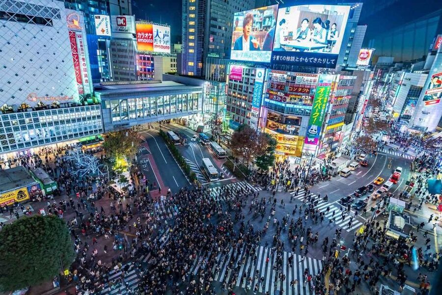Tokyo: Tokyo Private Day Tour With Guide - Shibuya Crossing: a short stop with a big Tokyo moment
