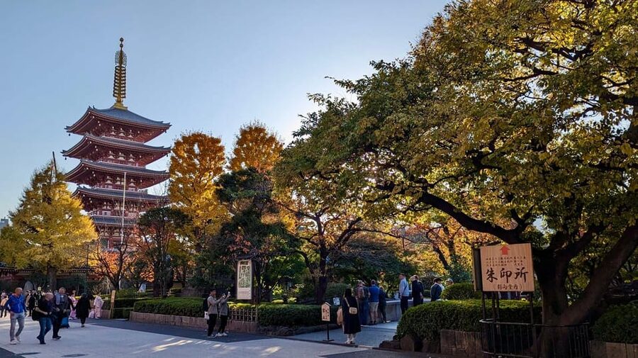 Tokyo: Tour Privado por Tokio en español - Ueno Park, cherry trees, and temple paths