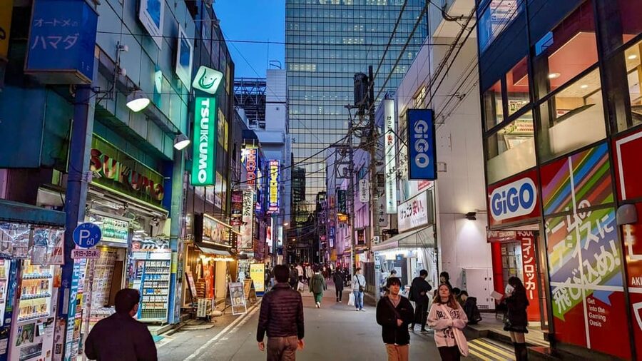 Tokyo: Tour Privado por Tokio en español - What the private format is worth