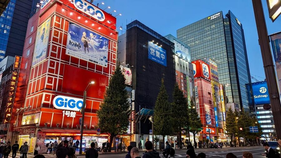 Tokyo: Tour Privado por Tokio en español - Spanish-speaking guides and service reliability