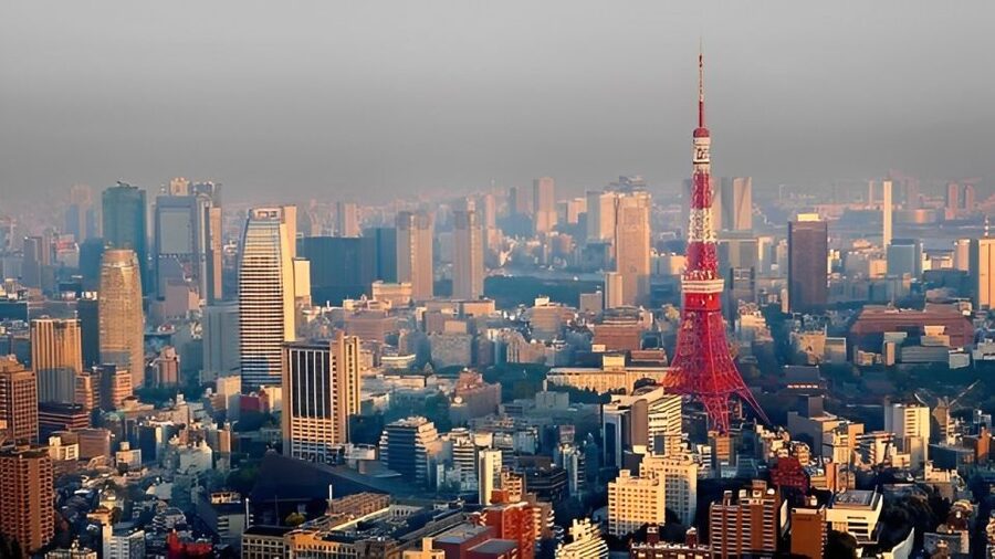 Tokyo Tower: Entry Ticket & Private Hotel Pickup Service - Key points at a glance