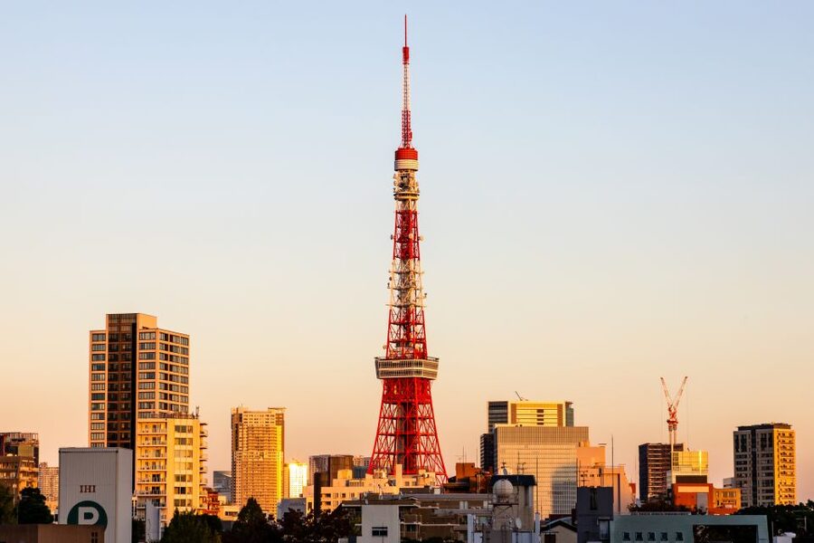 Tokyo Tower: Entry Ticket & Private Hotel Pickup Service - Timing your visit for views or lights