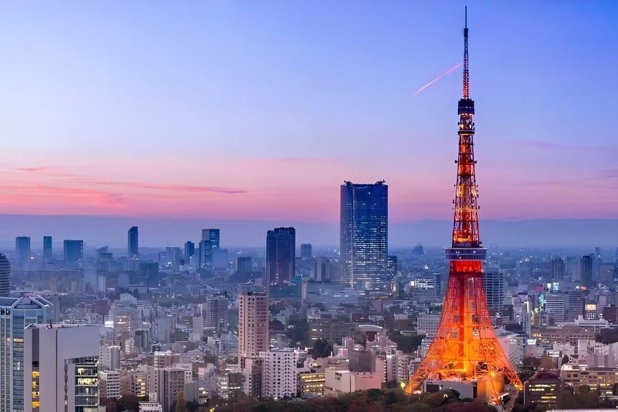 Tokyo Tower: Entry Ticket & Private Hotel Pickup Service - The hotel pickup changes the shape of the day