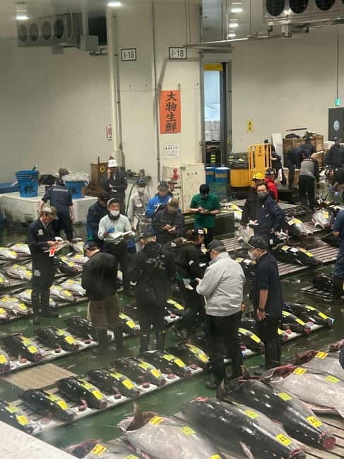 Tokyo Toyosu Tuna Auction + Breakfast (Sushi Dai or Bentomi) - The ground-level deck for a closer look