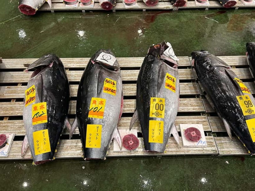 Tokyo Toyosu Tuna Auction + Breakfast (Sushi Dai or Bentomi) - The 5:25 AM start and finding Toyosu Market