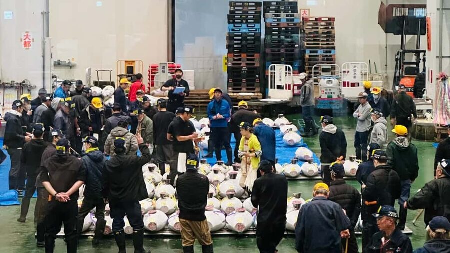 Tokyo: Toyosu Tuna Auction &Tsukiji Market Gourmet Adventure - Who gets the most from this $122 experience