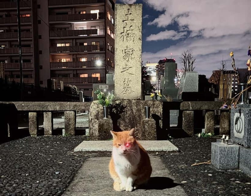 Tokyo: True Crime And Ghost Stories Tour - Tokyo’s dark side, told on foot