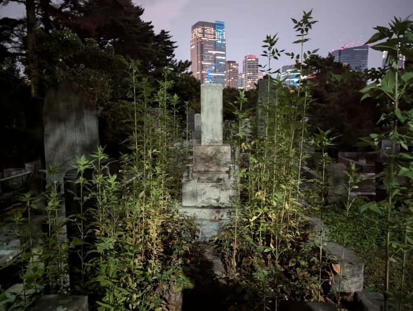 Tokyo: True Crime And Ghost Stories Tour - Toyama Park and the weight of Unit 731