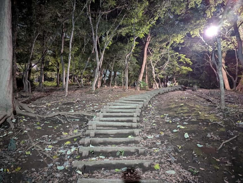 Tokyo: True Crime And Ghost Stories Tour - Aoyama Cemetery after dark