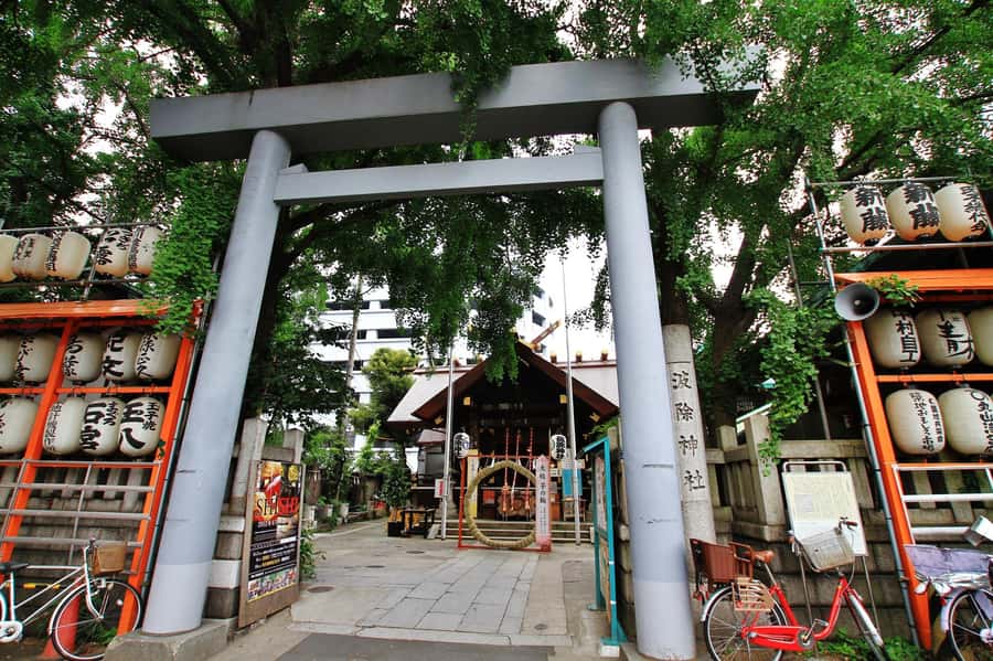 Tokyo : Tsukiji Fish Market Food Walking & Shrine Visit Tour - The fish wharf and a second market pass