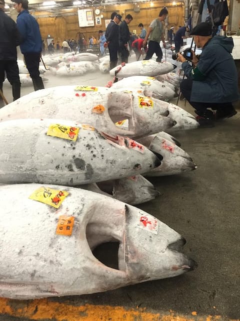 Tokyo: Tsukiji Fish Market Foodie and Educational Tour - Namiyoke Shrine: a useful pause before the food
