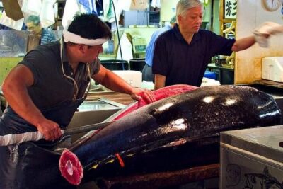 Tokyo Tsukiji Food & Culture 4hr Private Tour with Licensed Guide - Toyosu Market and the limits of an early start