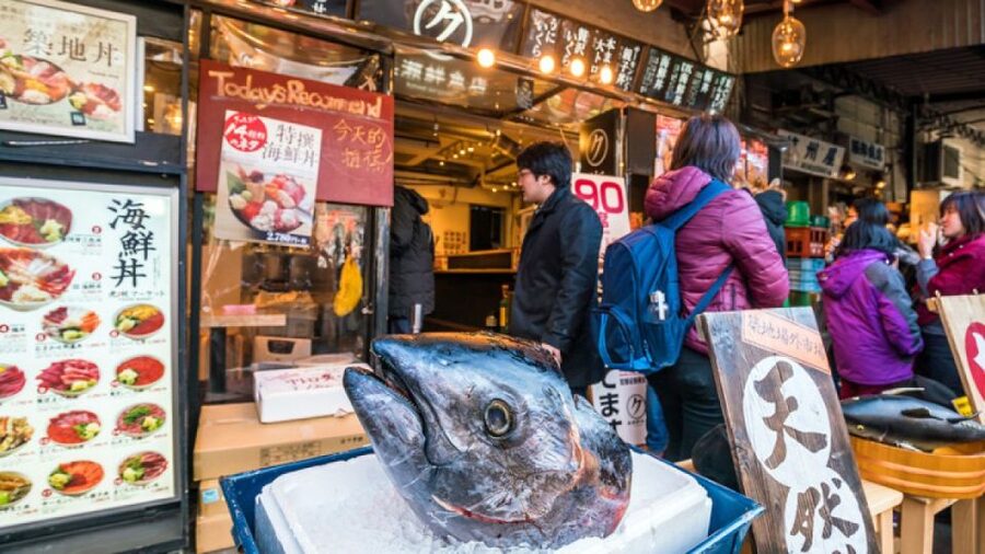 Tokyo Tsukiji Food & Culture Private Tour Licensed Guide - What this six-hour Tokyo tour really offers