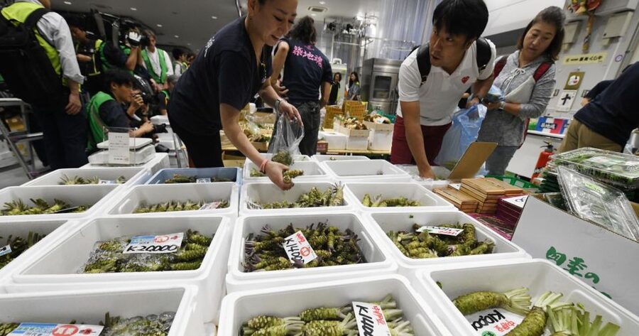 Tokyo Tsukiji Food & Culture Private Tour Licensed Guide - Asakusa and its street-food appeal