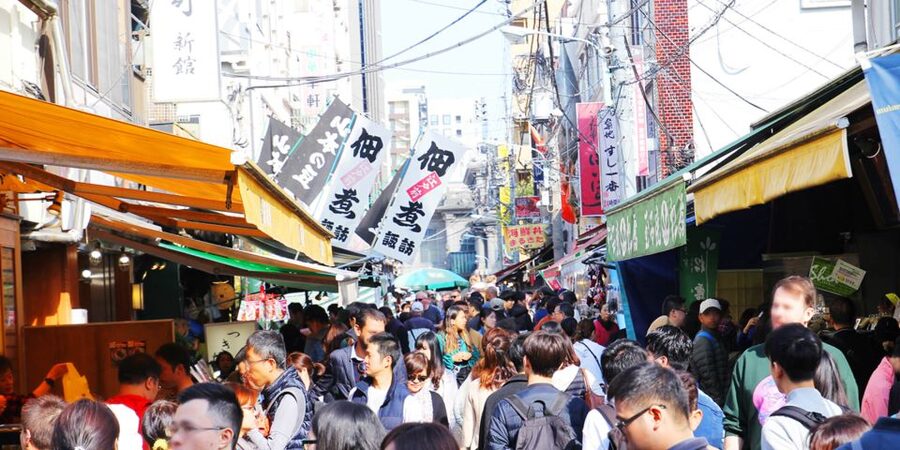 Tokyo Tsukiji Food & Culture Private Tour Licensed Guide - Kappabashi Street, where cooks go shopping
