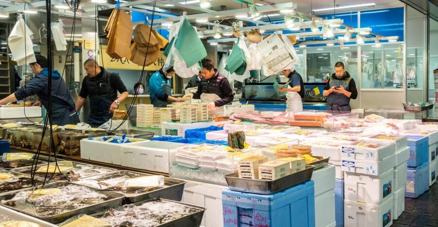 Tokyo Tsukiji Food & Culture Private Tour Licensed Guide - Toyosu Market: Tokyo’s modern fish center