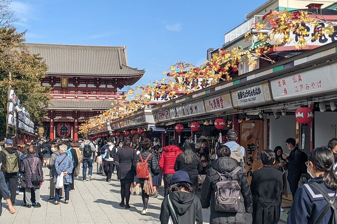 Tokyo VIP Guided Private Car Tour with Optional Airport Transfer - A practical way to see Tokyo in one day