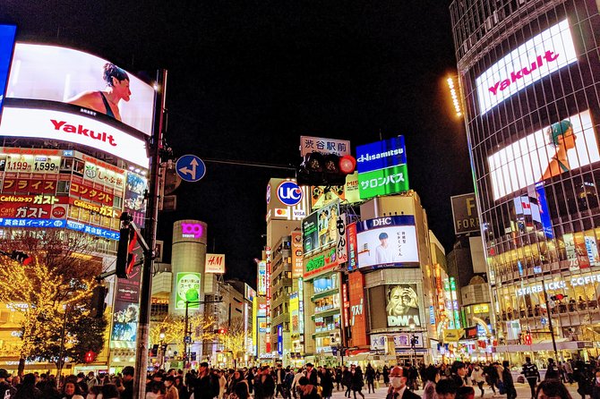 Tokyo VIP Guided Private Car Tour with Optional Airport Transfer