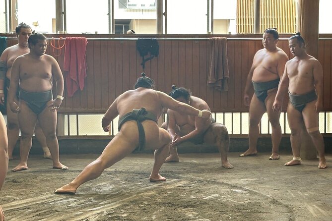 Tokyo: Visit Sumo Morning Practice with English Guide - Why this sumo visit feels different from a tournament