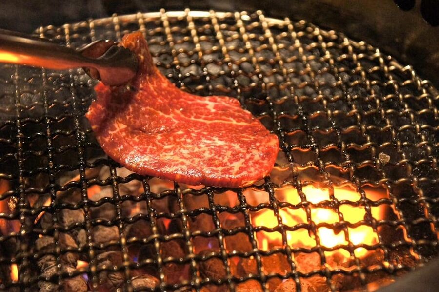 Tokyo: Wagyu and Sushi Gastronomic Journey - Key points to know before you book