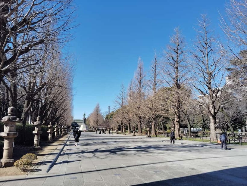 Tokyo War History Tour: Yasukuni Shrine & War Museum - The extended visit to Chidorigafuchi National Cemetery