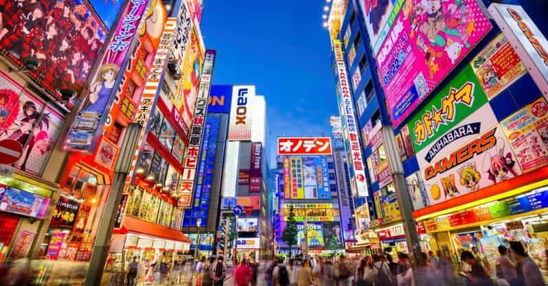 Tokyo: Winter Illuminations Private Tour with a Local - Tokyo winter lights with a local guide