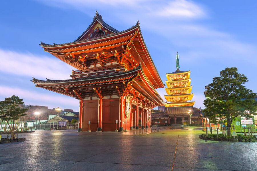 Tokyo: Winter Illuminations Private Tour with a Local - What the $81 price really buys
