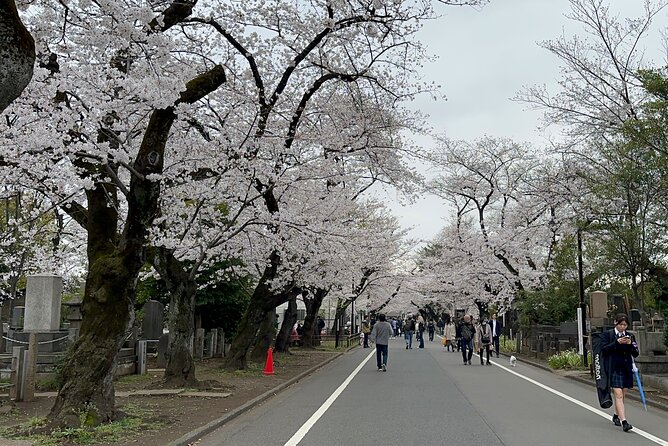 Tokyo : Yanaka and Nezu-Old Traditional Town Cultural Experience - Yuyake Dandan and the view toward Yanaka Ginza
