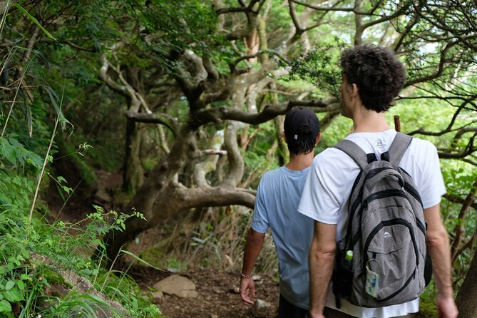 Traverse Outer Rim of Hakone Caldera and Enjoy Onsen Hiking Tour - The 30-minute descent toward Lake Ashi