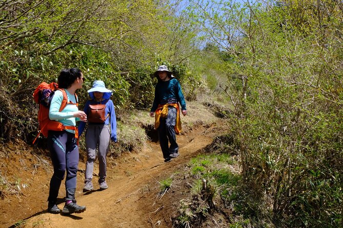 Traverse Outer Rim of Hakone Caldera and Enjoy Onsen Hiking Tour - Lunch in Togendai, with several choices