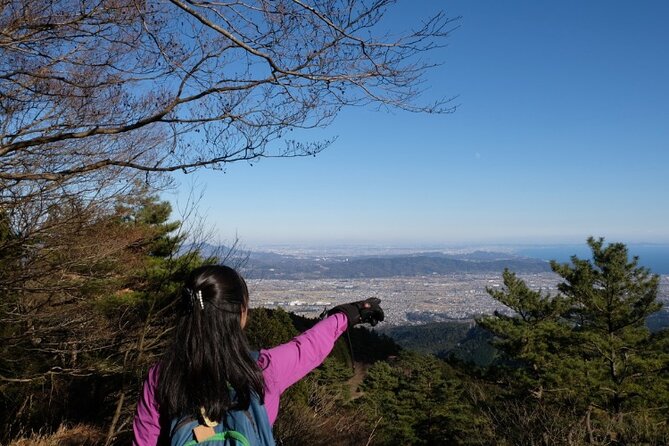 Traverse Outer Rim of Hakone Caldera and Enjoy Onsen Hiking Tour - Weather, visibility, and the honest Fuji question
